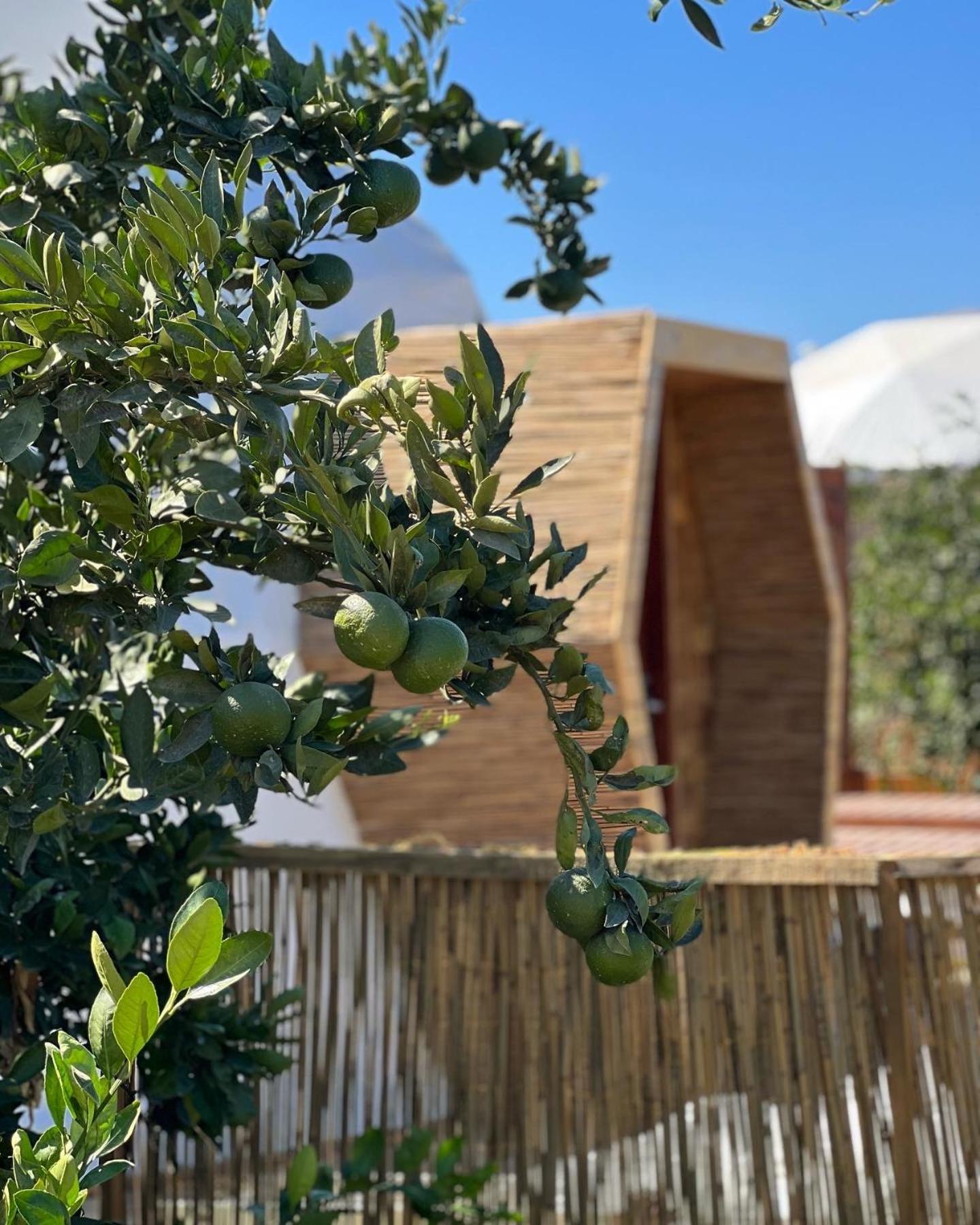 Hotel Mandalin Glamping Selçuk Exterior foto
