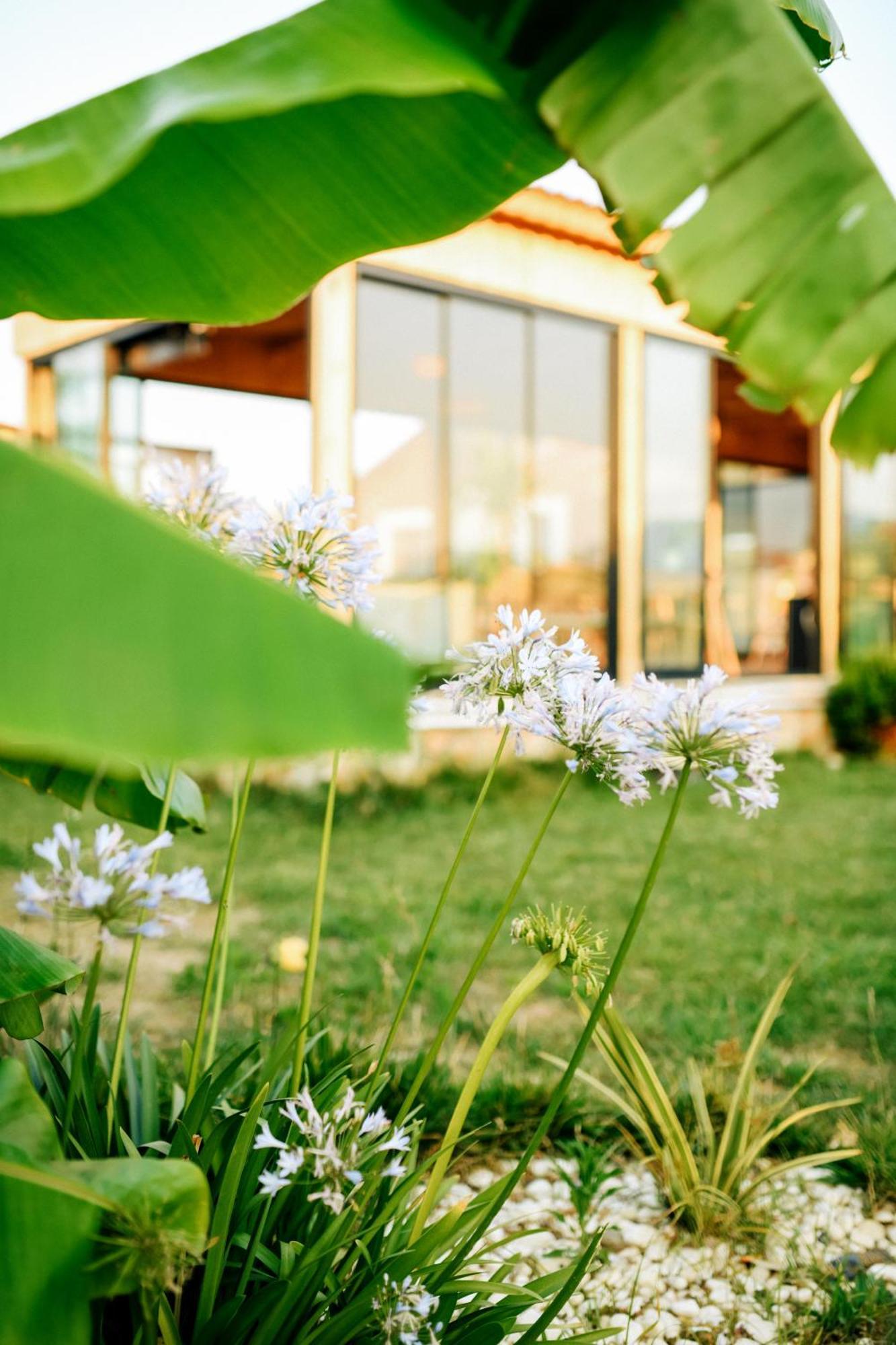 Hotel Mandalin Glamping Selçuk Exterior foto